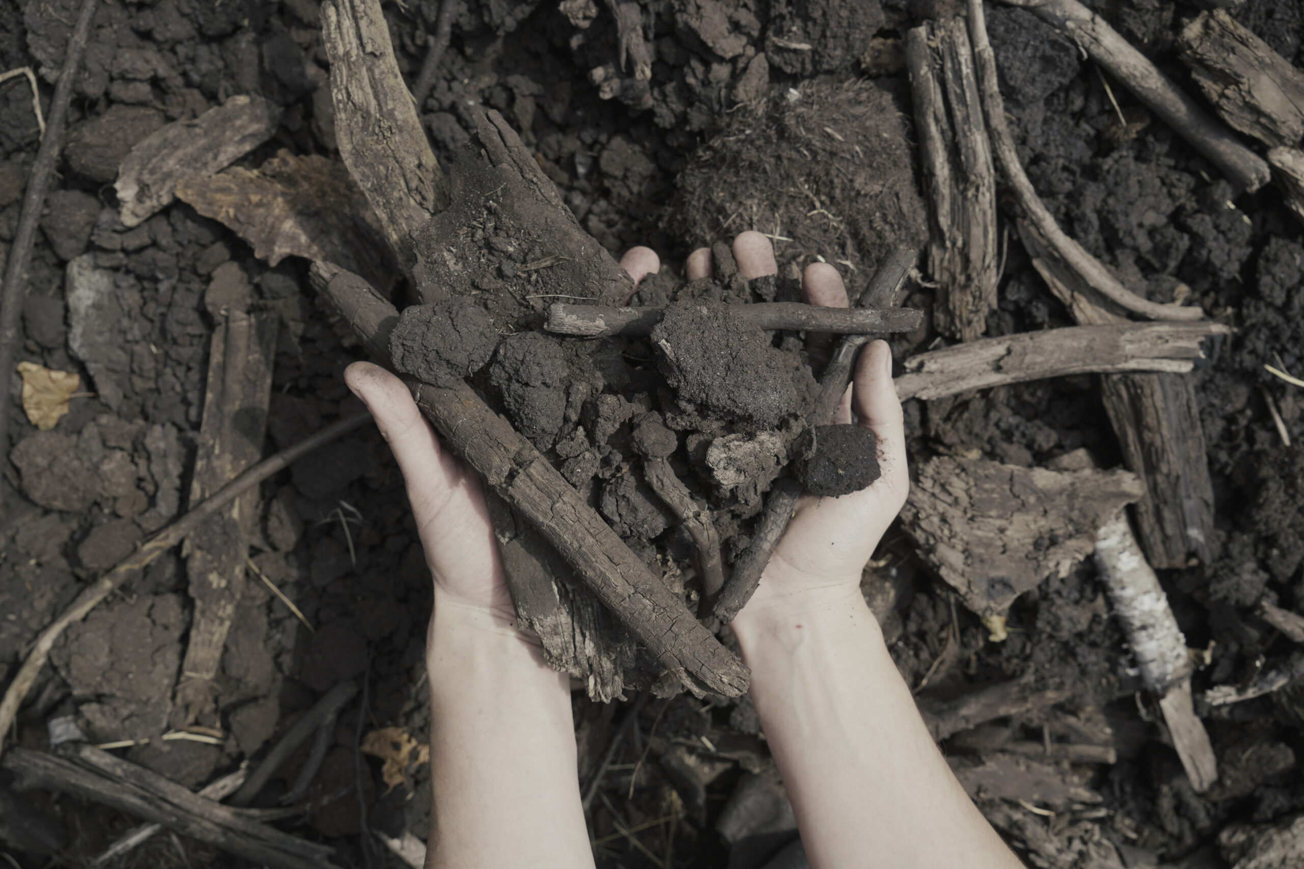 EcoBioMass
